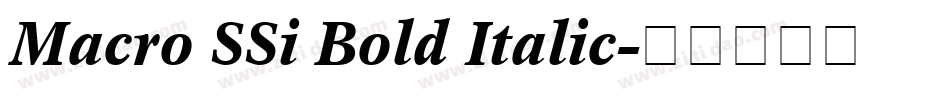 Macro SSi Bold Italic字体转换